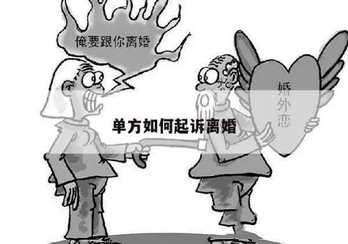 成都侦探社：女方提出离婚要孩子怎么办